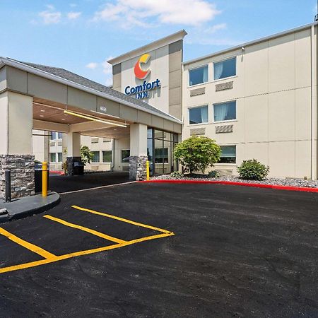 Comfort Inn Mayfield Heights Cleveland East Ngoại thất bức ảnh